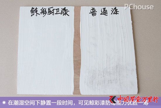廚衛空間的保潔衛士 鯨彩颯緹廚衛漆評測