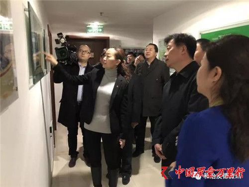 天津市副市長攜區委領導蒞臨和治友德參觀指導