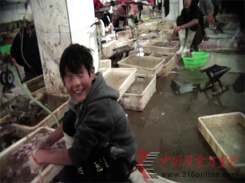 ͯFK^I ڄӾַQφ}