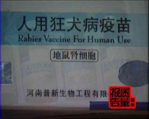 ÿ|(zh)桷֮