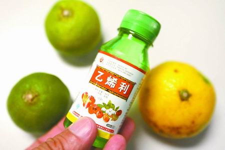 섩ӌ(zhun)ҷQ(chng)ʳû°ͯ