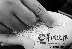 “河粉專用米”來自于陳倉、變質、發霉米糧。