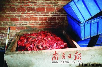 發臭豬肉泡在池中。 發臭豬肉泡在池中。