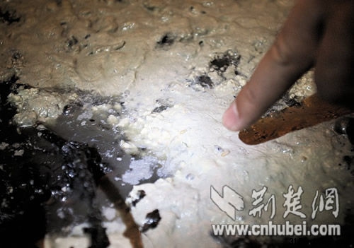 圖為:臭豆腐缸里還有蛆在蠕動(dòng)