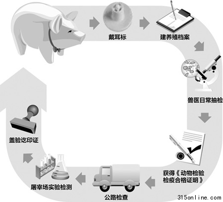 記者還原豬肉生產(chǎn)全過(guò)程:怎么飼養(yǎng)如何檢疫