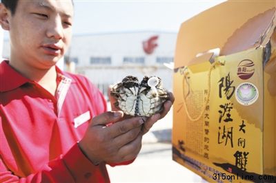 9月17日,首都機場貨運站,工作人員在檢查空運來的首批陽澄湖大閘蟹。當日,剛剛開始捕撈的陽澄湖大閘蟹空運到北京。 9月17日,首都機場貨運站,工作人員在檢查空運來的首批陽澄湖大閘蟹。當日,剛剛開始捕撈的陽澄湖大閘蟹空運到北京。