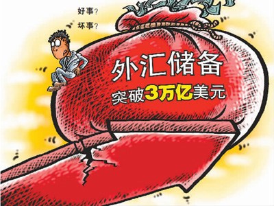 媒體稱外匯儲備應(yīng)境外使用不適合無償分給民眾
