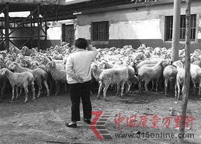 ⾫F(xin)ɽ|һ(zhn) zy(c)ڈ(zh)(yn)