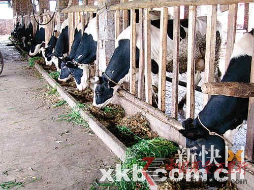 牧場(chǎng)無(wú)蒙牛駐站員,生產(chǎn)方無(wú)檢測(cè)記錄。