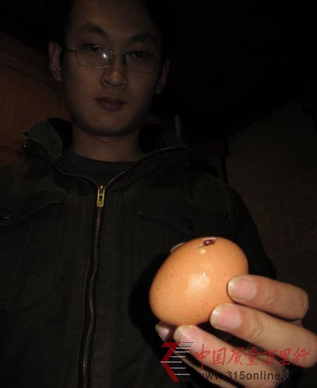 2012年01月09日,山東煙臺,假雞蛋外殼與真雞蛋無異。 2012年01月09日,山東煙臺,假雞蛋外殼與真雞蛋無異。