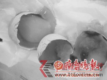 吳女士剛買回家的雞蛋里有2個已經壞了。 記者 鞠平 攝 吳女士剛買回家的雞蛋里有2個已經壞了。 記者 鞠平 攝