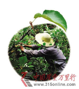 h(yun)S304ʡ߅һƬO(png)@r(nng)ڽoO(png)ˎAl(f)