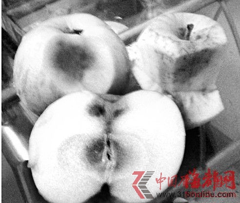 資料圖片 資料圖片