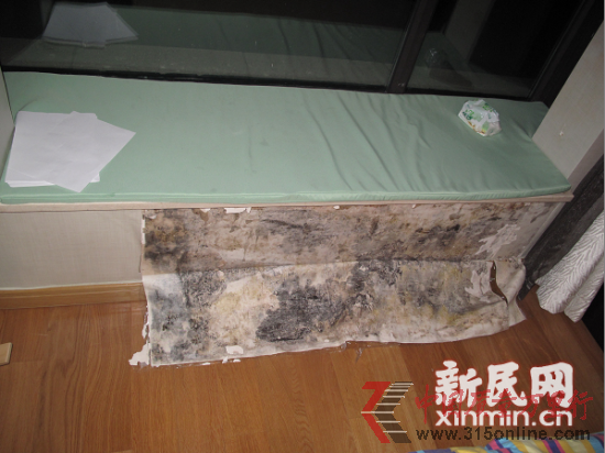 許小姐家飄窗下墻面霉跡斑斑。新民晚報·新民網記者 房浩 攝 許小姐家飄窗下墻面霉跡斑斑。新民晚報·新民網記者 房浩 攝