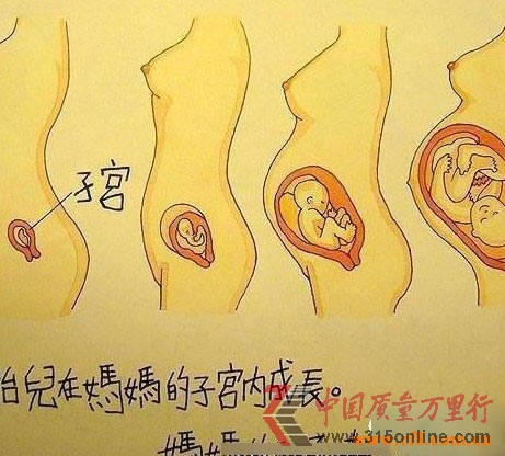 @СW(xu)꼉n(ni)ݣ