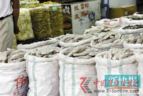 ■一德路海產品市場上售賣的海參。新快報記者畢志毅/攝 ■一德路海產品市場上售賣的海參。新快報記者畢志毅/攝