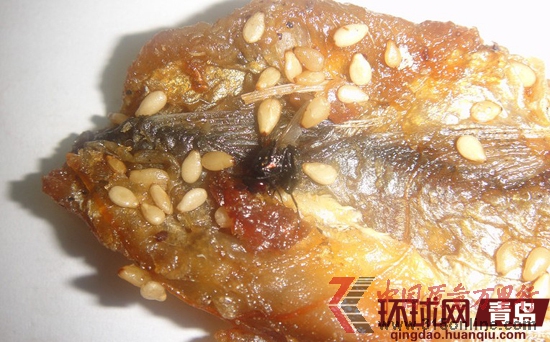 烤魚(yú)片上的死蒼蠅 烤魚(yú)片上的死蒼蠅