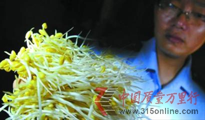 “問題豆芽”加工過程中添加了許多違法添加劑 本版圖片均為晚報(bào) 王浩然 資料圖片 “問題豆芽”加工過程中添加了許多違法添加劑 本版圖片均為晚報(bào) 王浩然 資料圖片