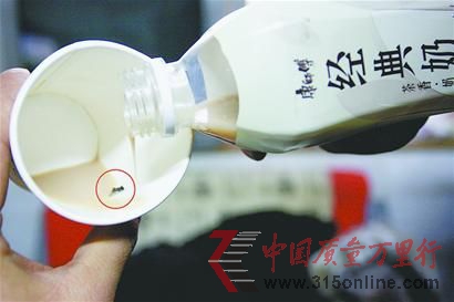 田先生喝的經典奶茶中有一只蒼蠅。