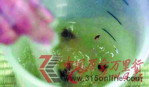首先將快速發(fā)酵水和兒童糞便混合。