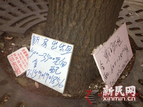 圖說:在打人事件發(fā)生10天后,群租活動(dòng)和招租廣告依然毫不避諱。新民網(wǎng)記者 沈文林 攝