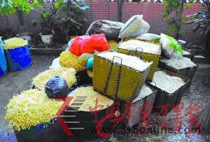 ծaǧﶾѿ ػͯ