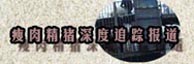 瘦肉精豬